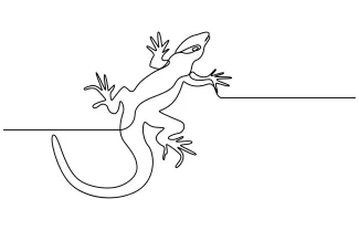 Lizard Learn Lizard Shapes with One Line Drawing: A Beginner's Guide