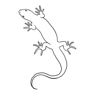 Simple One Line Lizard Drawing for Quick Reptile Sketches