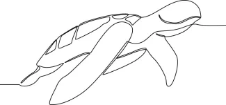 Sea turtle One Line Sea Turtle Drawing: Learn Ocean Wildlife Through Easy Continuous Line Art
