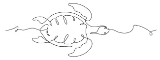 Sea turtle One Line Sea Turtle Drawing: Learn to Sketch Ocean Animals the Easy Way