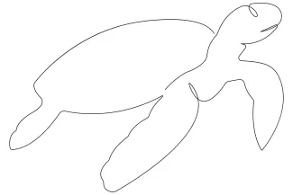 Sea turtle Draw a Sea Turtle Using One Line: Beginner-Friendly Marine Art Practice