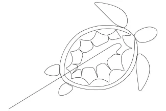 Sea turtle Sea Turtle One Line Art: A Simple Start to Drawing Marine Animals