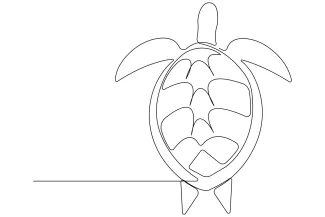 Sea turtle Learn One Line Drawing with Sea Turtles: A Relaxing Sketch for All Levels