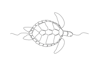 Sea turtle One Line Sea Turtle Sketch: Marine Reptile Practice for Artists of All Ages