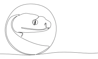 Snake Snake in One Line: Learn Reptile Shapes in a Fun and Simple Way