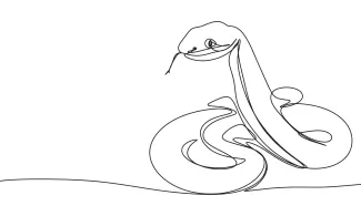 Snake One Line Snake Art: Great Drawing Practice for Reptile Enthusiasts