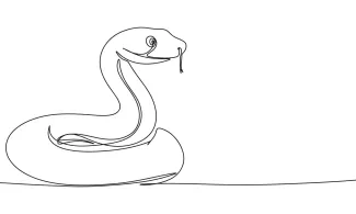 Snake Easy Snake Drawing in One Line: Practice Reptile Shapes with Ease