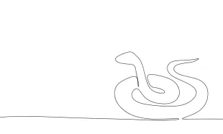 Snake One Line Snake Drawing: Curved Reptile Forms for Easy Art Practice