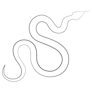 Venomous snake One Line Dangerous Snake Drawing: Study Reptile Shapes with Easy Art Steps