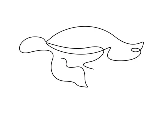 Turtle Simple Turtle Drawing with One Line: Fun for Early Artists