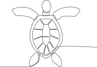 Turtle One Line Turtle Drawing: Discover Simple Reptile Forms with Continuous Line Technique