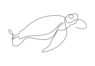 Turtle Easy One Line Turtle Drawing: Practice Round Shapes with No Stress