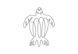Turtle Beginner Turtle Drawing in One Line: Simple Animal Practice for Daily Art