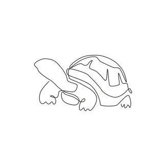 Big land tortoise Easy One Line Land Tortoise Drawing for Relaxing Reptile Practice